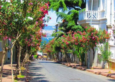 Excursión a las islas Príncipe
