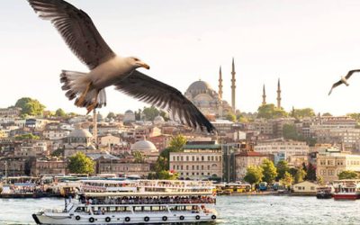 Explora Estambul: Tu guía para Tours Privados, Cruceros por el Bósforo y Free Tours
